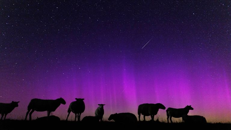 The northern lights during the Perseid meteor shower in Germany.
Pic:AP 