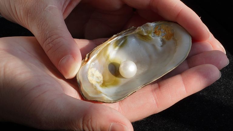 Abernethy Pearl to stay in Scotland after selling for more than £93,000 ...