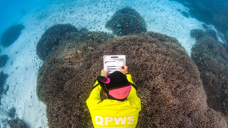 Coral Health Monitoring. Pic: Victor Huertas