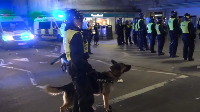 One of the police dogs deployed in Plymouth