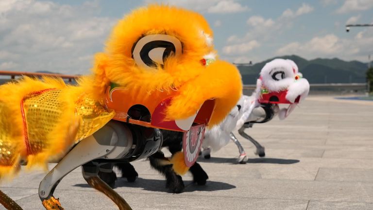 Robot dogs dressed in Chinese dragon costumes