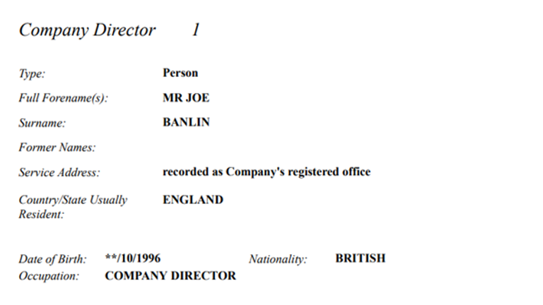 Companies House documentation identifying Joe Banlin as the director of the company tied to the Instagram account and Telegram channel