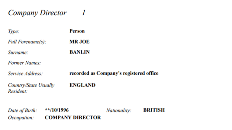 Companies House documentation identifying Joe Banlin as the director of the company linked to the Instagram account and Telegram channel