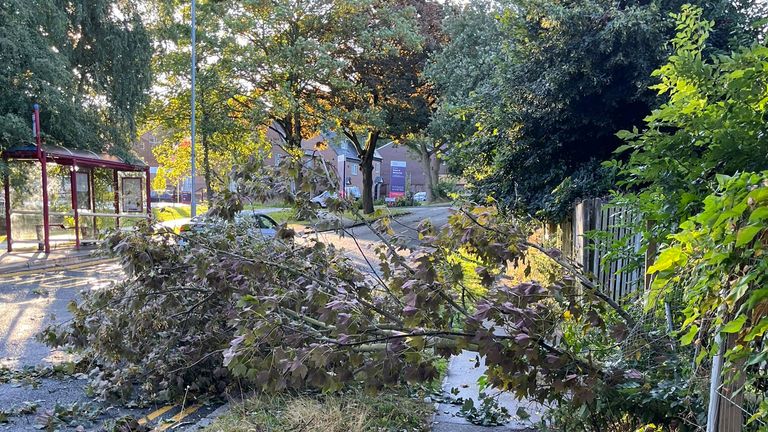 Handout photo taken with permission from the social media site X, formerly Twitter, posted by Simon Crossley of a fallen branch on a footpath in Meanwood, Leeds as storm Lilian hits the UK. Picture date: Friday August 23, 2024.
