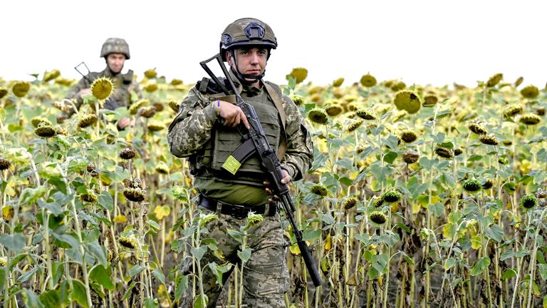 Ukrainian  servicemen walk among sunflowers, to their position outside the town of Pokrovsk in Donetsk.
Pic:Reuters