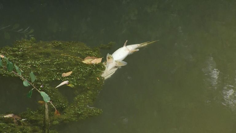 Walsall Canal