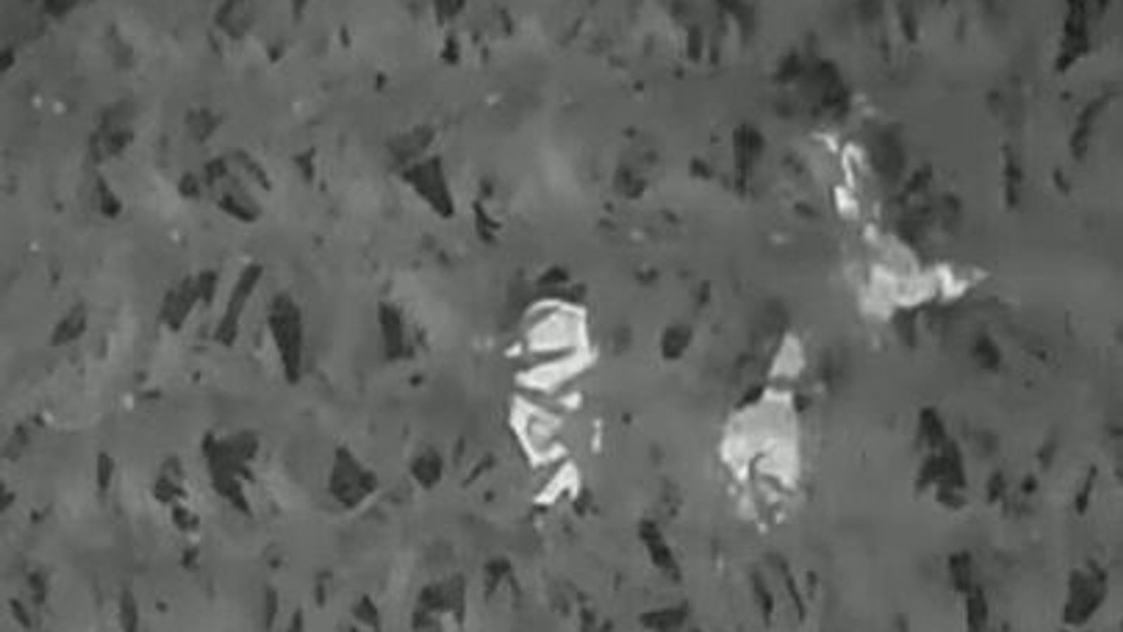 US A threeyearold boy was found in a cornfield of more than 100