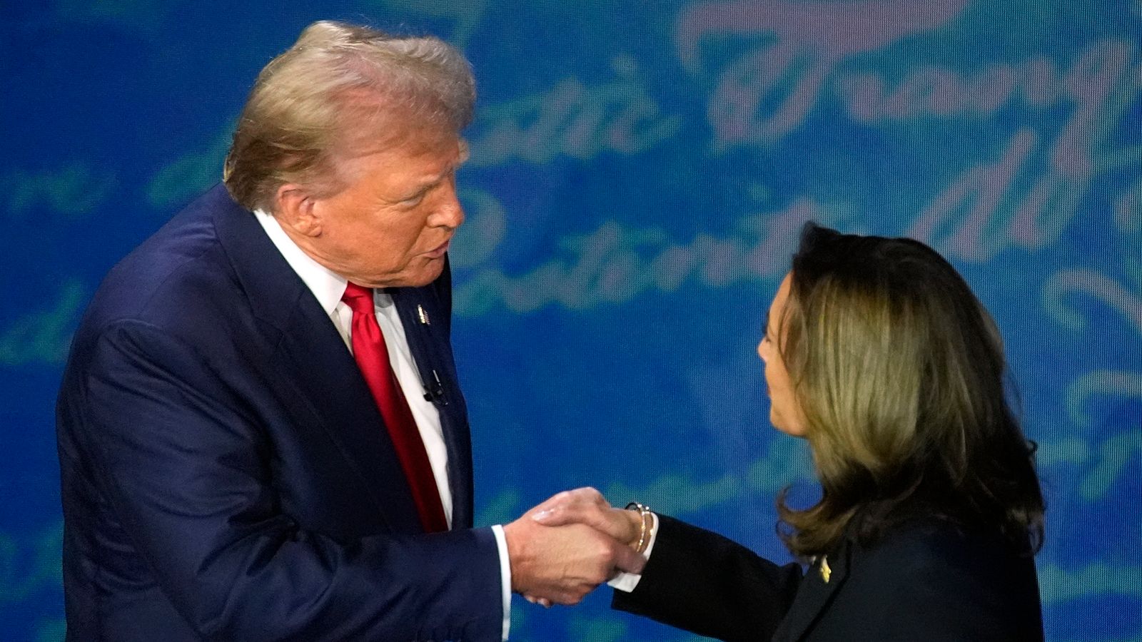 US election 2024: The demographic divides that will decide whether Trump or Harris becomes president