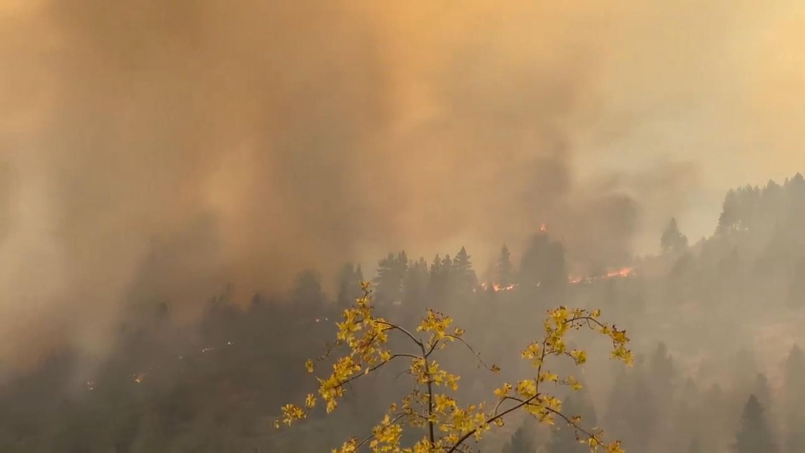 Wildfire Near Reno Forces Evacuations, Road Closures | VT News