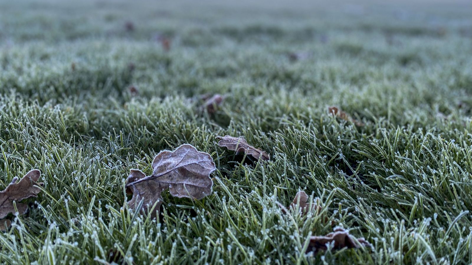 UK weather: Autumn chill likely to hit in coming days