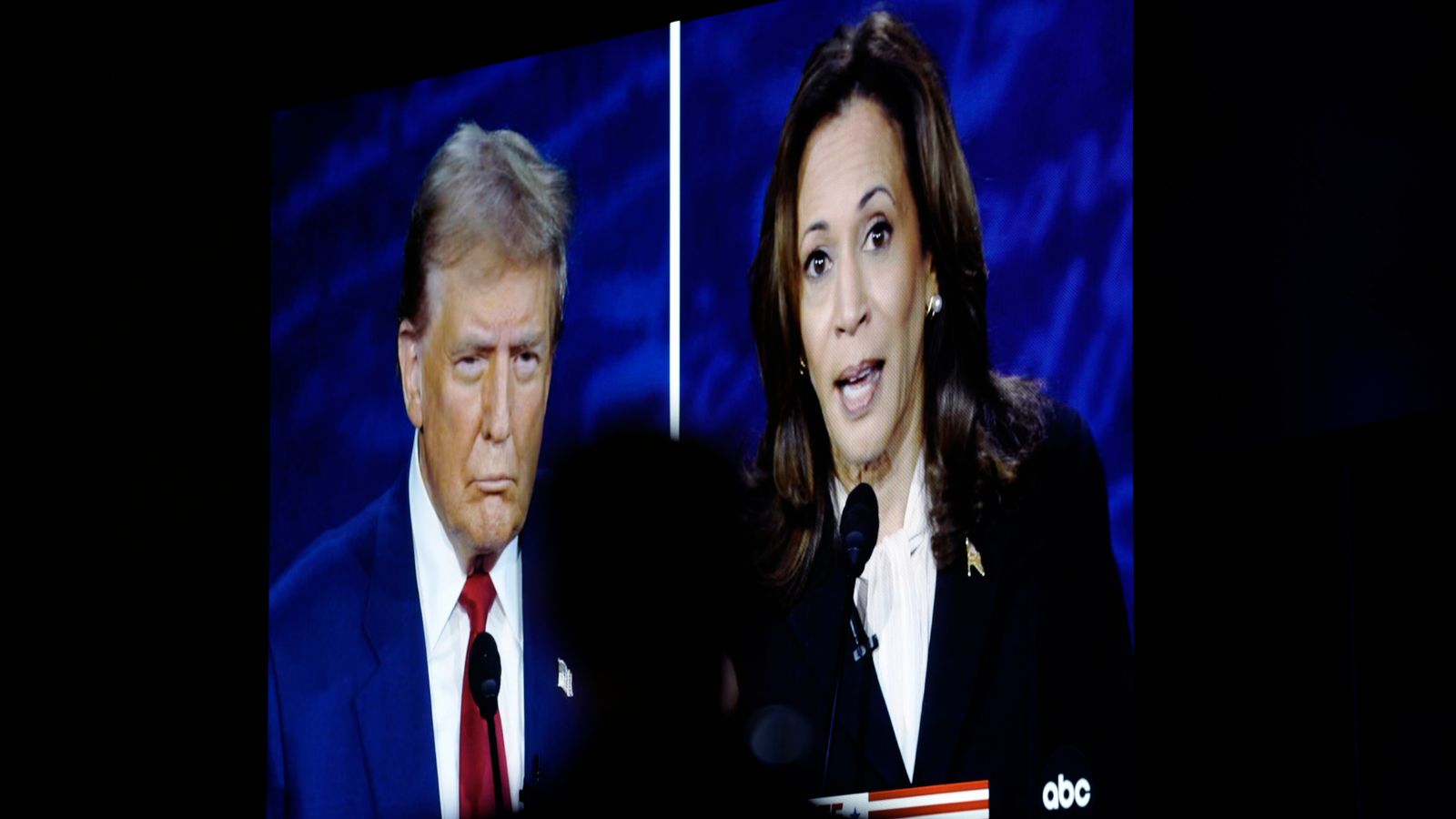 US Election: the big and small deciding factors that could swing the vote for Trump or Harris this November