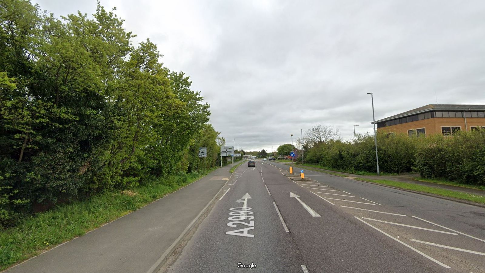 Woman and Dog Killed in Herne Bay Collision