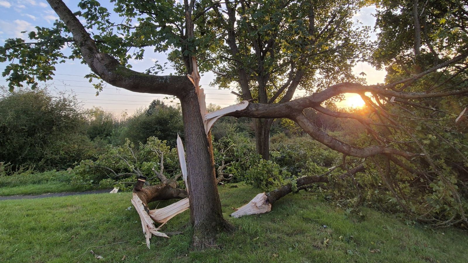 Tornado strikes Aldershot in Hampshire - bringing down trees, damaging ...