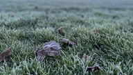 A frost covered leaf in Windsor, Berkshire Picture date: Tuesday November 2, 2021.
