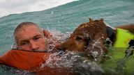 A man and his dog were rescued off the coast of an island in Florida during hurricane Helene. Pic: US Coast Guard