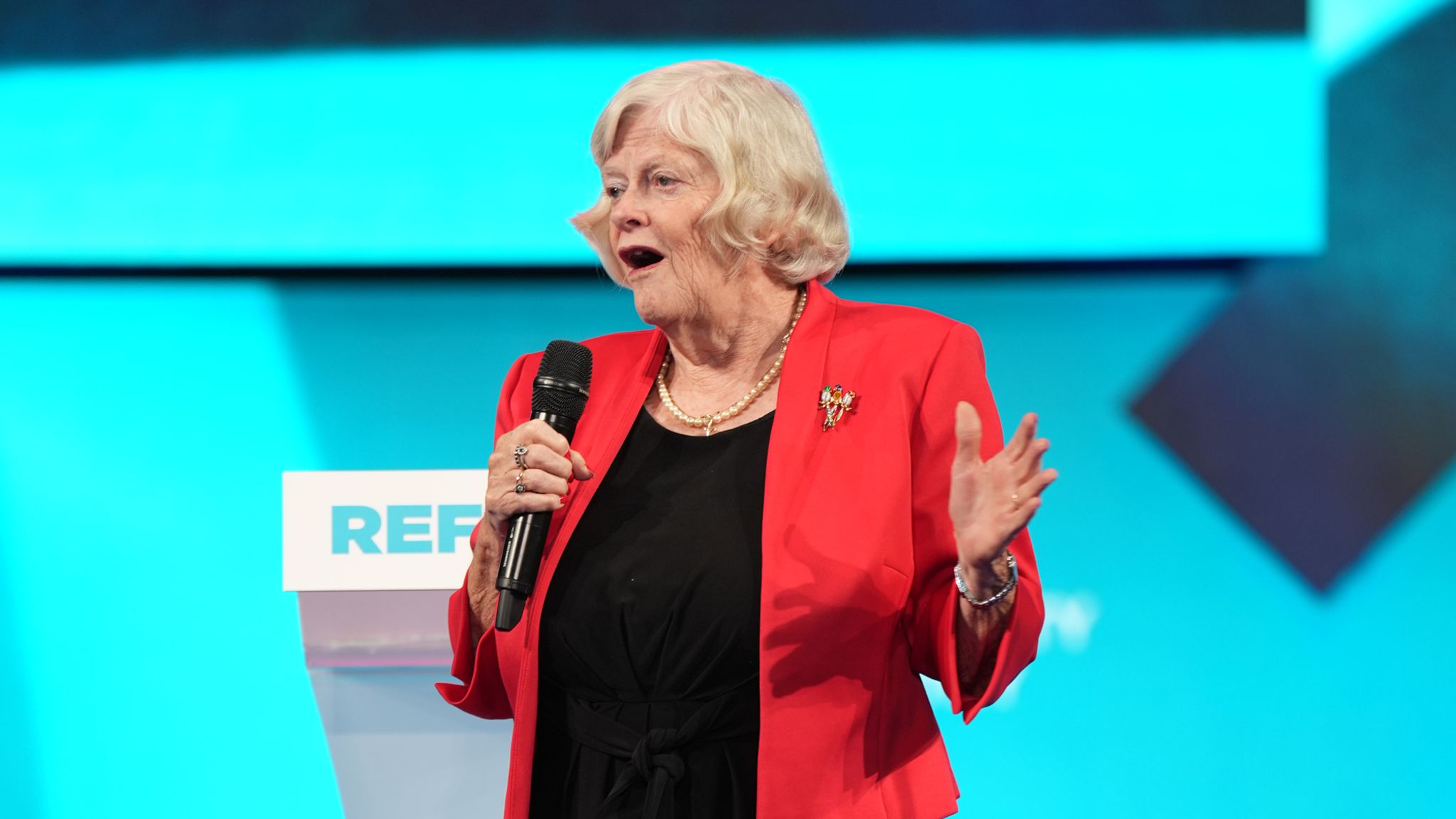Ann Widdecombe says Reform would put migrants in 'secure reception centres'  | Politics News | Sky News
