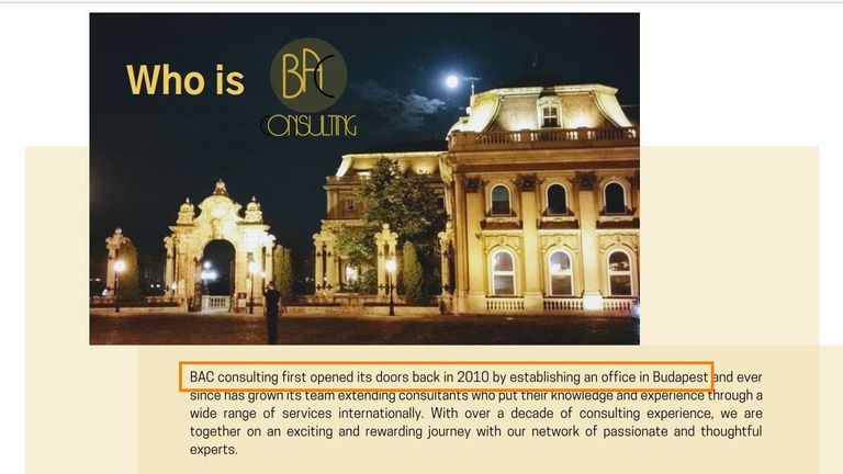 BAC Consulting brochure linked to CEO Cristiana Arcidiacono-Barsony's Linkedin page