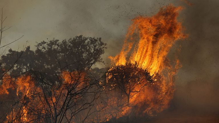 skynews-brazil-wildfires-flames_6688002 Seu guia definitivo para a COP30: Por que é tão controverso e quem participa? | Notícias de ciência, clima e tecnologia