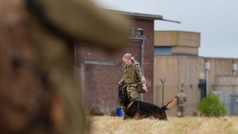 British Army dog handler during a training session with Ukrainian army personnel in the East Midlands.
Pic: PA