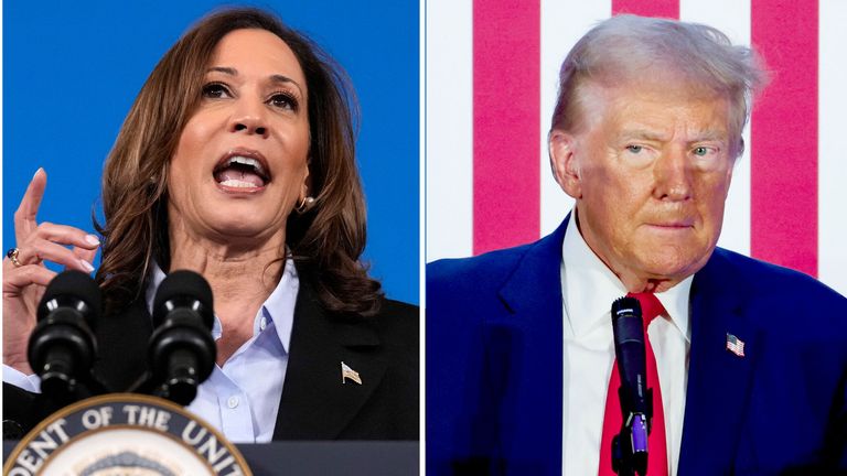 Kamala Harris and Donald Trump
Pic AP/Reuters