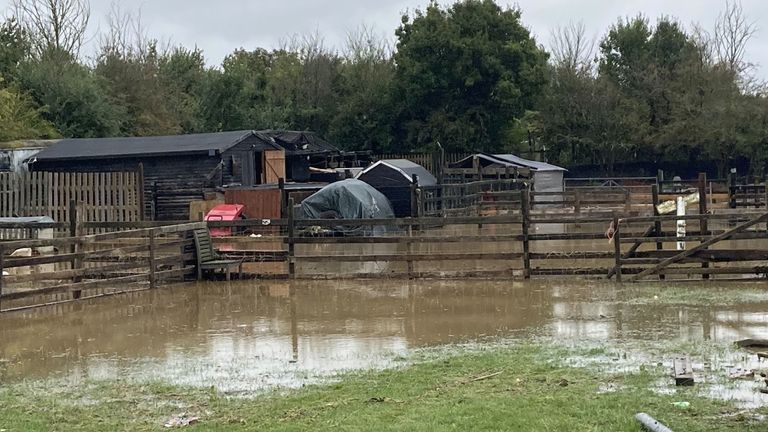 Flooding at Moreteyne�s Retreat in Bedfordshire, animals were put in temporary pens after heavy rain. Parts of Britain have been struck by flash floods after some areas saw more than a month's worth of rain in 24 hours. Heavy rainfall has seen parts of Northamptonshire, Bedfordshire and London submerged causing widespread travel disruption and damage to properties. Picture date: Monday September 23, 2024.
