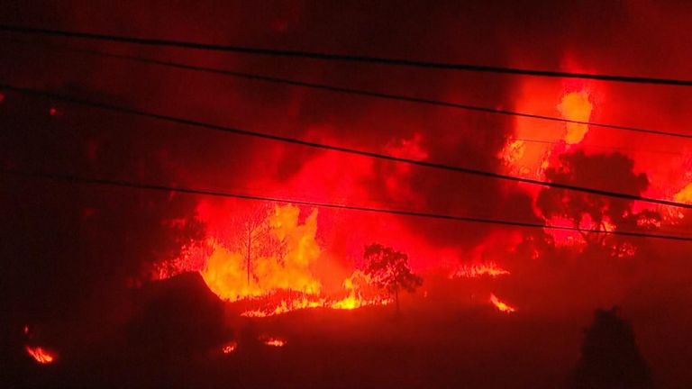 According to authorities, at least 5,000 firefighters have been deployed to combat the blazes.