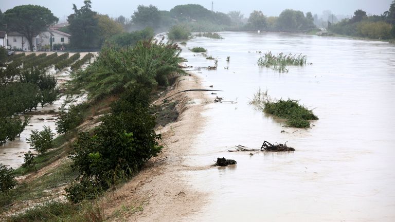 The Lamone river overflows its banks near Bagnacavallo, in the region of Emilia-Romagna, Italy, Thursday, Sept. 19, 2024. (Fabrizio Zani/LaPresse via AP)