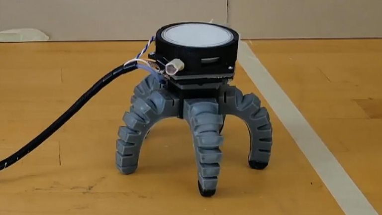 Scientists develop a robot controlled by reactions to light impulses from mushroom roots