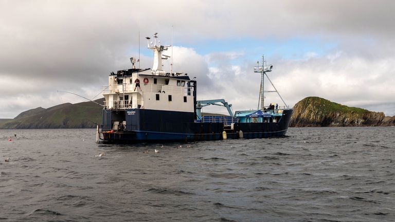 Pic: Ocearch