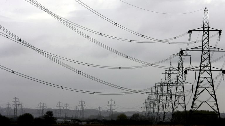 Electricity pylons are seen in the countryside near Liverpool, northern England, April 12, 2006. The British government is currently reviewing its energy strategy and will publish their findings in the summer. REUTERS/Phil Noble
