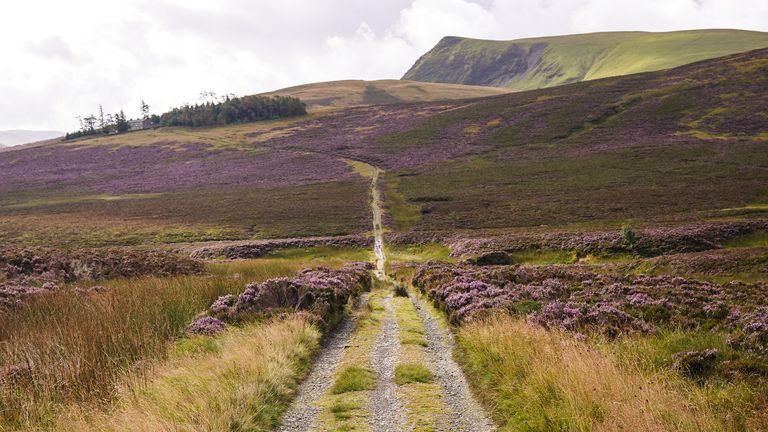 Skiddaw Forest. Pic: Harry Shepherd/PA