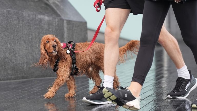 Dogwalkers brave wet and windy conditions along the Queen's Walk, near Tower Bridge, last month. Pic: PA