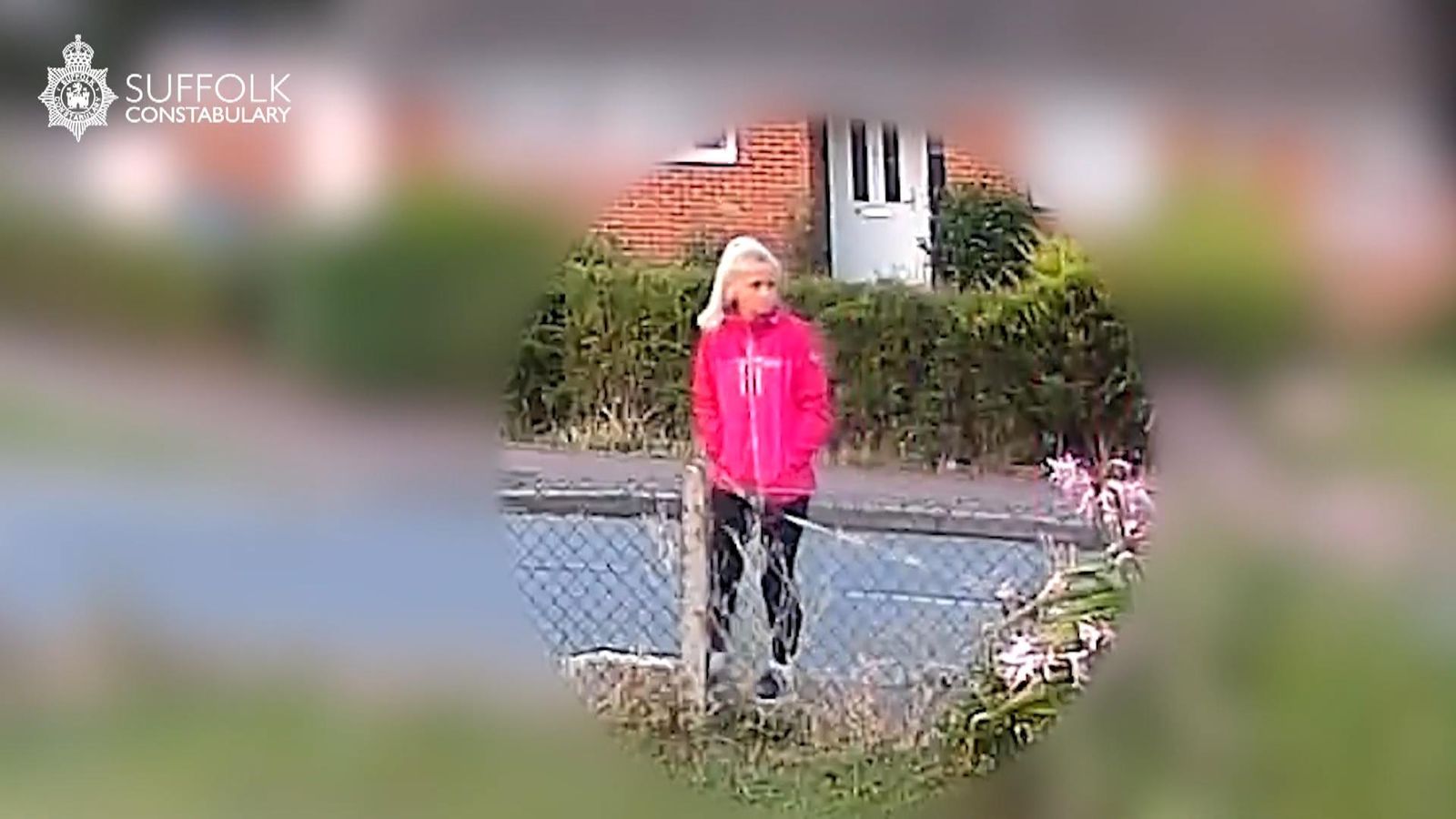 why-use-a-dog-walker