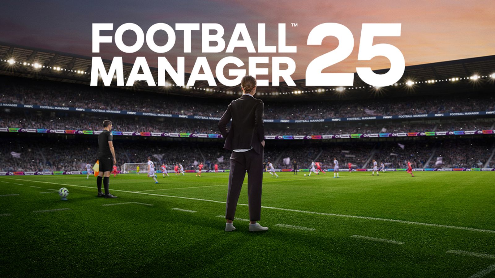 Popular video game Football Manager delayed until next year