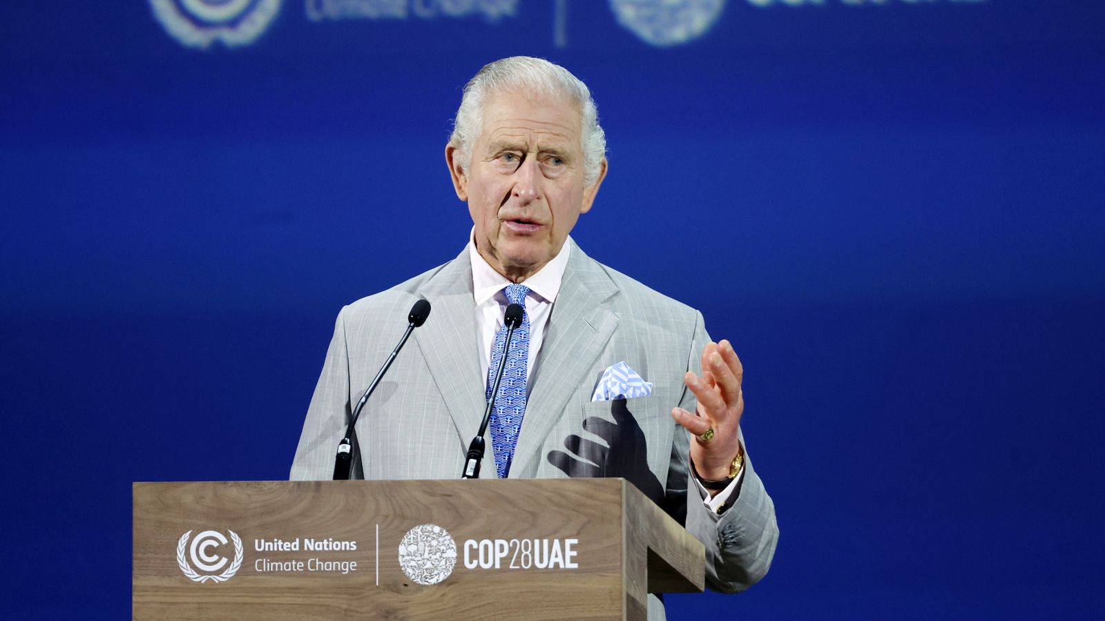 King Charles will not attend COP29 climate conference in Azerbaijan