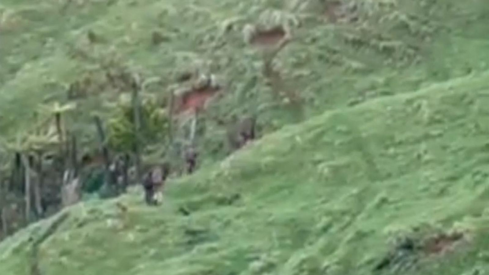 Fugitive Dad And Three Children Spotted In New Zealand Countryside ...