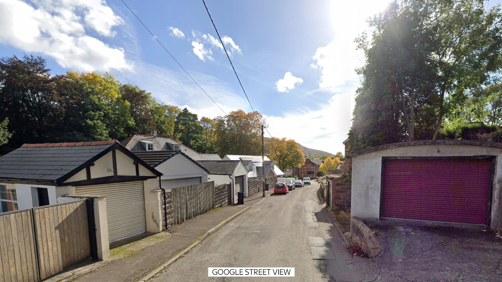 12-Year-Old Girl in Nantyglo Suffers Life-Changing Injuries in XL Bully Dog Attack