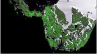 A satellite image of Robert Island, in the Antarctic Peninsula.
Pic: DigitalGlobe/PA
