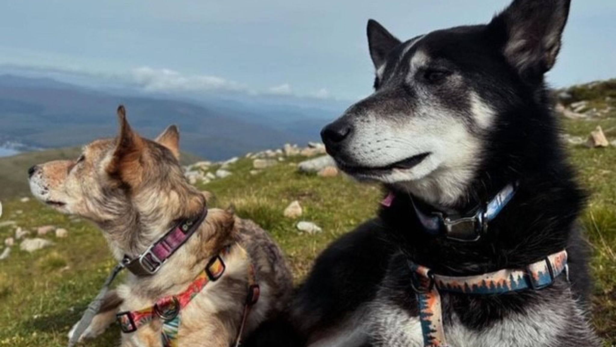 Emilie Anne Parker Family tribute to US student killed in Scottish