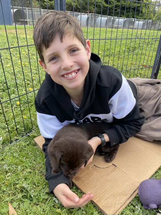 11-year-old Jack Davey a grade five student killed when he was struck by a Toyota SUV while sitting on an outdoor bench at Auburn South Primary School, in east Melbourne. Pic: from family