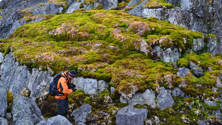 Norsel Point on Amsler Island in the Palmer Archipelago of Antarctica.
PIc: University of Exeter/PA Wire