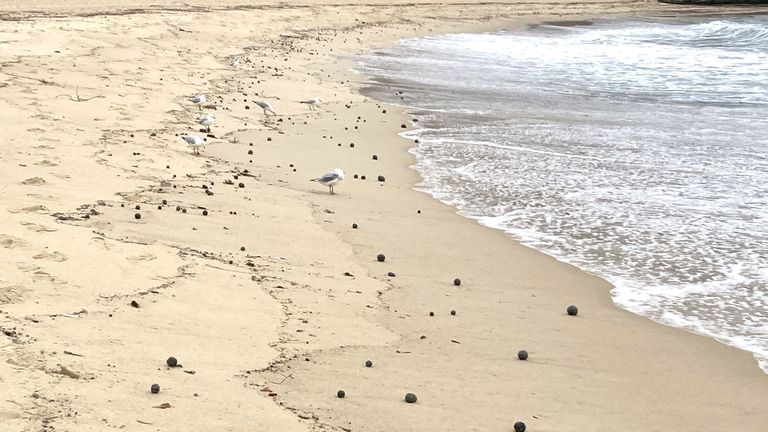 Duizenden teerballen zijn aangespoeld op een aantal stranden in Sydney