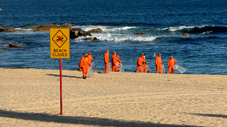 The clean-up effort at Coogee Beach. Pic: Randwick City Council