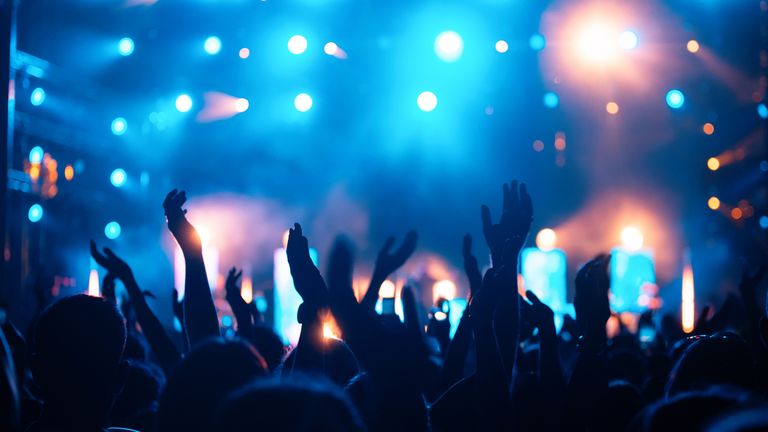 Party people enjoy concert at festival. Crowd at concert. Summer music festival