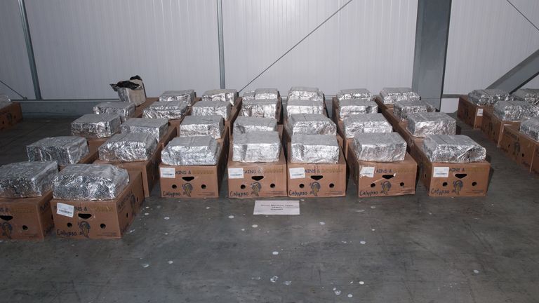 The banana and cocaine shipment seized during Operation Pepperoni in the case against Jamie Stevenson. Pic: Crown Office