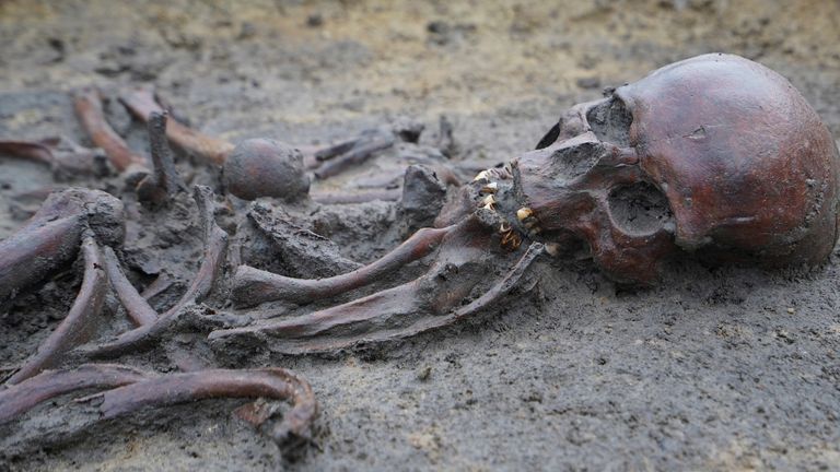 The remains were discovered in central Denmark. Pic: AP
