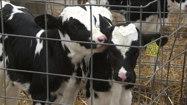 Farmers have expressed concerns that a new inheritance tax relief of one-million pounds for farms will mean they'll be forced to sell land in order to pay the tax