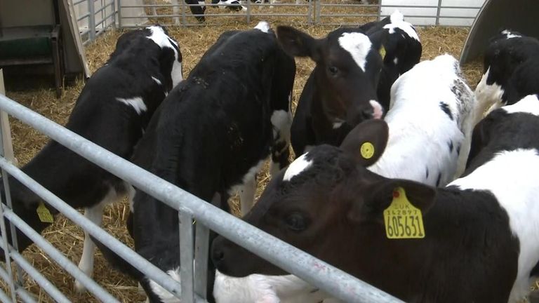 farming budget Paul Tompkins