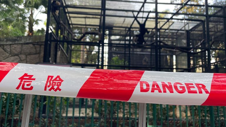 Een cordon rond de verblijven van apen in de zoölogische en botanische tuinen van Hong Kong. Foto: AP