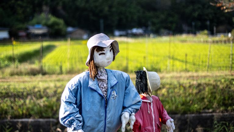 Pic: Philip Fong/AFP/Getty Images